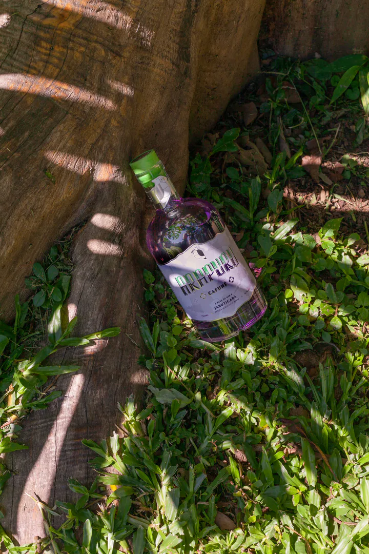 Coquetel Historias de Chico